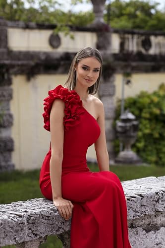 Women's Long One Shoulder Ruffle Scuba Crepe Dress (Standard & Petite)